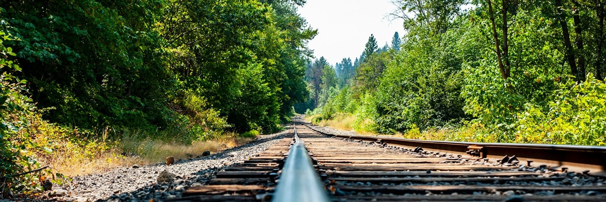 A path forward through nature – your recovery journey